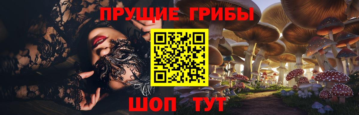 Галлюциногенные грибы прущие грибы  закладки  Ивантеевка  Вход с VPN 